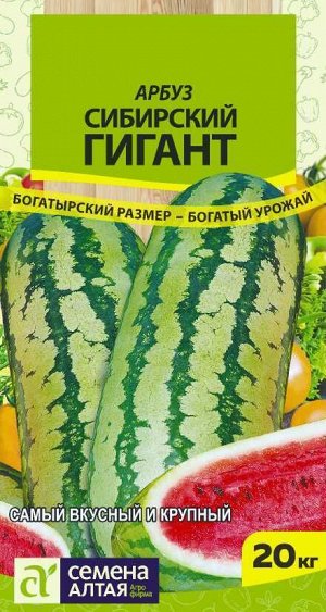 Арбуз Сибирский Гигант/Сем Алт/цп 1 гр. НОВИНКА! СЕРИЯ СИБИРСКИЕ ГИГАНТЫ!