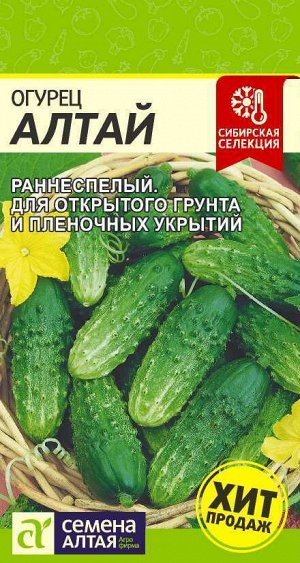 Огурец Алтай 0,5 гр. Сибирская Селекция!