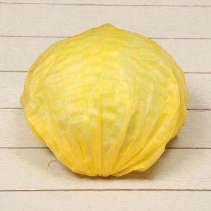 Комплект для капусты: спанбонд жёлто-чёрный (марка 80, 1,06 ? 6 м); шапочка жёлтая (10 шт.)