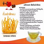 Тайские травы, чаи и вкусности. минус 10%-30%
