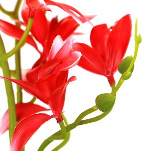 Цветочная композиция "Орхидея" h45см, в пластмассовом горшке д14см h17см, цвета микс (Китай)