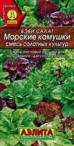 Морские камушки