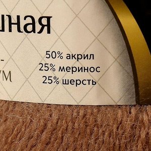 Пряжа "Воздушная" 25%меринос. шерсть, 25%шерсть, 50%акрил 370м/100гр (077 беж. темн)