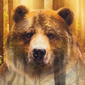 Полотенце Этель «Лес», 40x67 см, хлопок 100 %, саржа, 190 г/м²