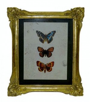 Картина "Бабочки" (27*3*32см) FK-39349