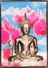 Картина "Будда" (25*35см) KB-35571