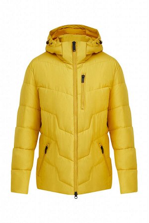 Куртка мужская (3810)