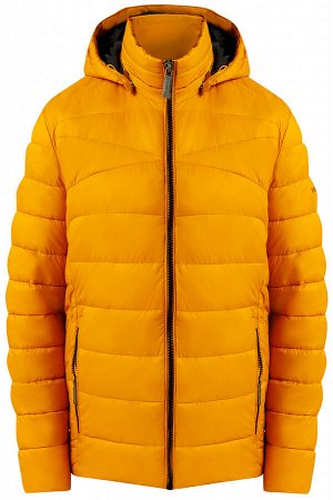 Куртка мужская (12130)