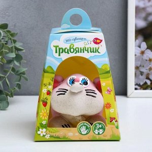 Растущая травка "Кот" в домике