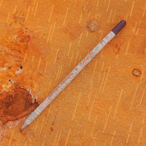 Растущие карандаши "Восточные пряности" набор 6 шт. цветные  МИКС