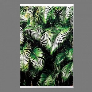 Фотофон винил "Пальмовые листья в тени" 80х120 см