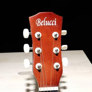 Акустическая гитара Belucci BC3810 N