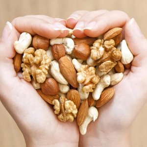 Орехи — полезный и питательный продукт