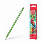 Карандаши цветные трехгранные ArtBerry 6 цветов14