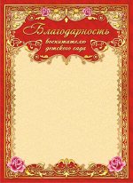 Благодарность воспитателю детского сада  (картон)