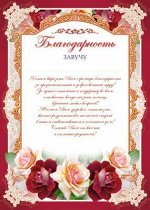 Благодарность Завучу