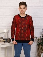 Толстовка &quot;Ричард&quot;