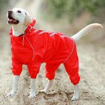 😺 Ушки, лапки, хвостики. Популярная закупка для любимцев