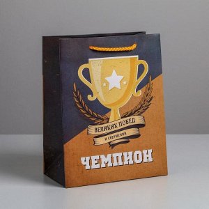 Пакет ламинированный вертикальный «Чемпиону», MS 18 × 23 × 10 см
