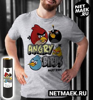 Футболка Angry Birds (Энгри Бердз), цвет серый меланж