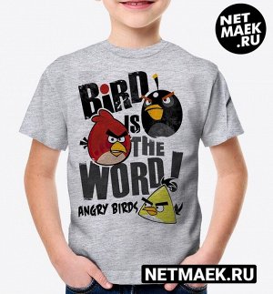 Детская футболка birds is the word, цвет серый меланж