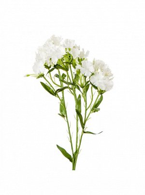 Гвоздика садовая 73 см цвет белый арт. L17097/WH