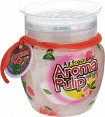 Освежитель-ароматизатор воздуха «Арома Палип» (аромат персика) 370 г / 12