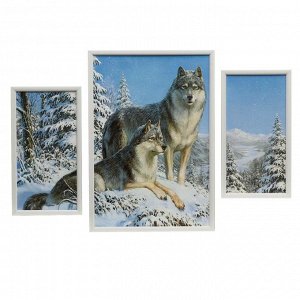 Модульная картина "Волки" 18х35 (2), 34х50, 50х70 см