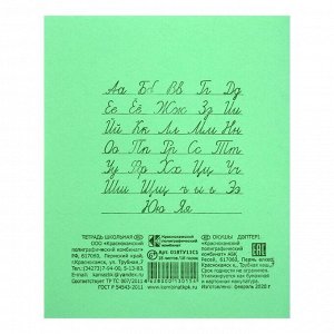 Тетрадь 18 листов в линейку, "Зелёная обложка", АЦБК, плотность 58-63 г/м2, белизна 90 %, офсет №1, 20 штук в спайке