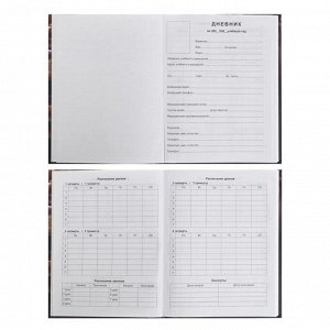 Дневник для 1-4 классов Premium , твёрдая обложка, матовая ламинация, тиснение фольгой, блок офсет, 48 листов