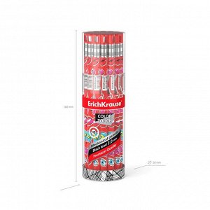 Карандаш механический НВ, 2,0 мм, ErichKrause ColorTouch Sweet love, с точилкой, корпус " Soft-touch" с дизайном