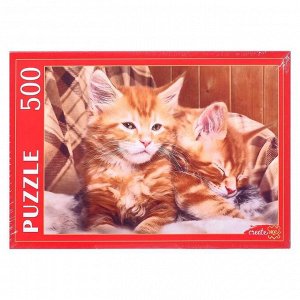 Пазлы 500 элементов «Рыжие котята Мейн-куна»