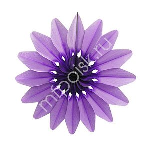 Бум укр Цветок Фиолетовый 50 см