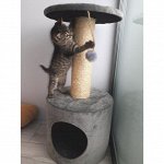 Кошкин дом
