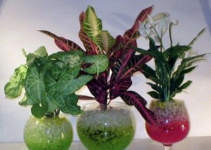 Гидрогель для декора и домашних растений