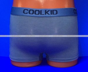 Детские трусы-боксеры для мальчиков COOL KID арт. 6904 (6903)