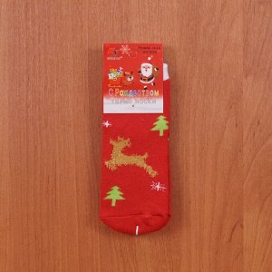 Носки теплые С Рождеством (размер 18-26) арт b225-8