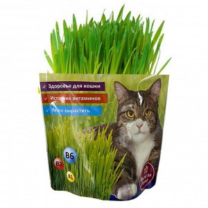 Трава для кошек ( дой-пак)