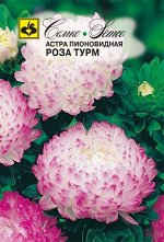 Астра пионовидная Роза Турм  0.5 г