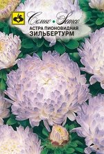 Астра пионовидная Зильбертурм  0.5 г