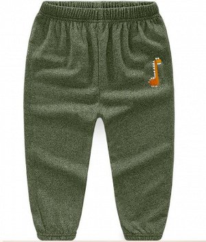 Спортивные брюки для мальчика, принт "Динозавр", цвет зеленый