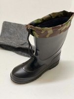 Сапоги