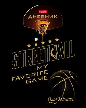 Дневник 1-11 класс (твердая обложка) "Street ball" (069498) 25682 Хатбер {Россия}