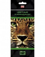 Карандаши 12цв &quot;Дикие звери&quot; к/уп (035877) Хатбер