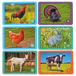 4630115527244 Домашние животные. Карточная игра мемо. (50 карточек). Тренируем память. Умные игры в кор.50шт