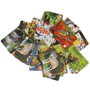 4680107902078 Лесные животные. Карточная игра Мемо. (50 карточек). Коробка: 125х170х40 мм. Умные игры в кор.50шт