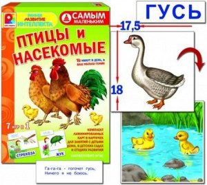 С-972 Настольная игра "Птицы и насекомые"