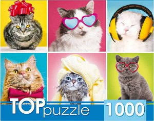 ГИТП1000-4138 Пазл "Смешные котята" 1000 элементов