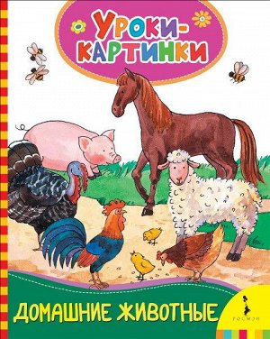 30847 Уроки-картинки "Домашние животные"