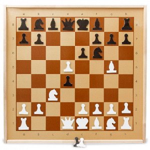 01756 Шахматы демонстрационные магнитные